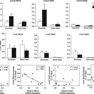 TAB Seq Shows The Differential Distribution Of 5 MC And 5 HmC Along The