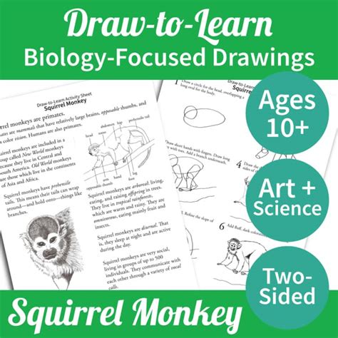 Biology Step By Step Cute
