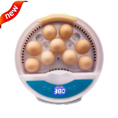 Magicfly Digital Mini Fully Automatic Egg Incubator Eggs Poultry