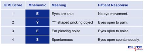 gcs mnemonic guide eyes voice  ben elite ambulance