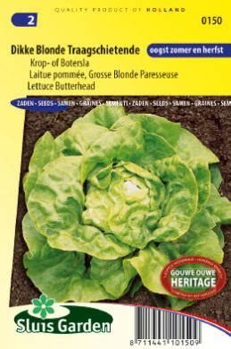 Laitue Pomm E Grosse Blonde Paresseuse Laitues Romaines Produits Gardenseeds