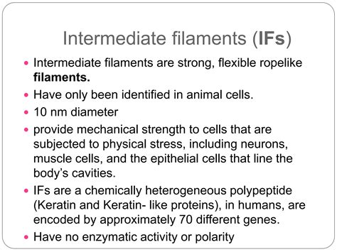 Intermediate Filaments Function 5