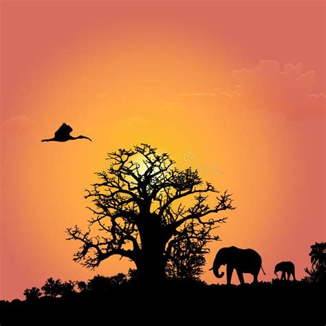 Silhouetten Van Olifanten Op Afrikaanse Zonsondergang Vector