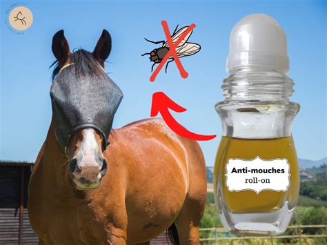 Diy Fabriquer Son Anti Mouche En Soins Des Chevaux Anti Hot Sex