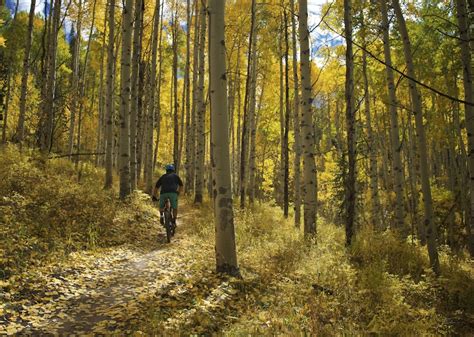 Eagle County Mountain Biking Trails Trailforks