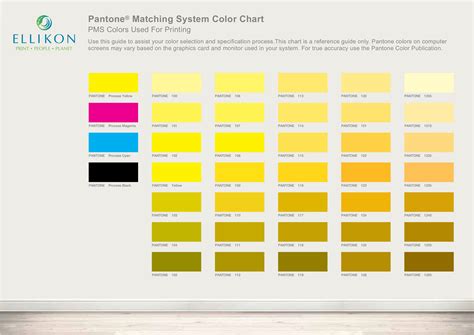 Colour Chart Template