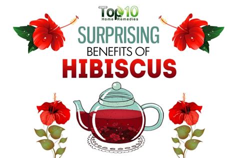 10 Surprising Benefits Of Hibiscus Top 10 Home Remedies