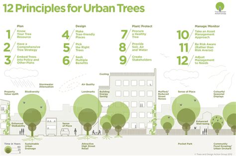 Trees In The Townscape Trees And Design Action Group