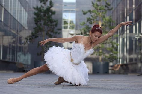 Woman Ballerina In White Tutu Stock Photo Image Of Bikini Grace