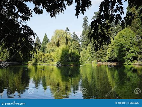 City Park Laurelhurst Portland Oregon Stock Image Image Of