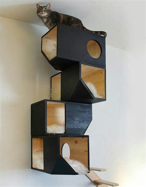 Необычные кошачьи домики и кроватки (Трафик!) / Для питомцев / ВТОРАЯ ...