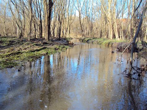 Wienfluss Inkl Mauerbach Voeafv