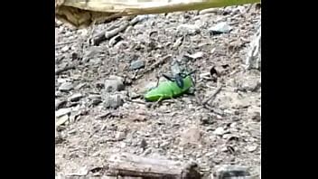 Ameaçando comer o cu da vagabunda XVIDEOS