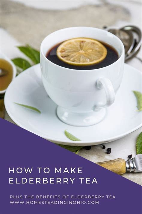 How To Make Elderberry Tea The Benefits Of Elderberry Tea Recipe