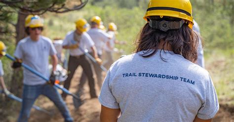 Mount Galbraith Park Closed 3 Days A Week Through July 5 For Trail