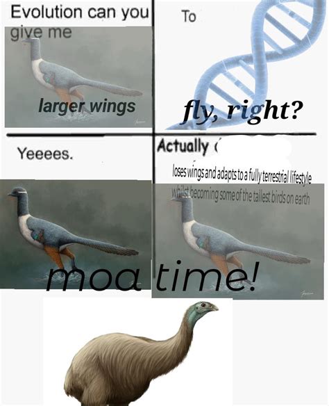 moa are cool af : r/Dinosaurs