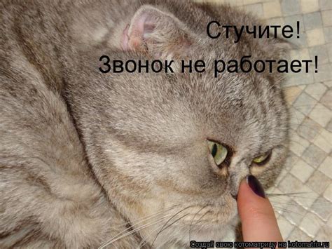 Котоматрица: Случайные котоматрицы
