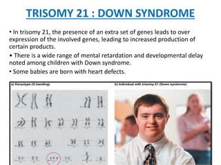 Aneuploidy | PPT