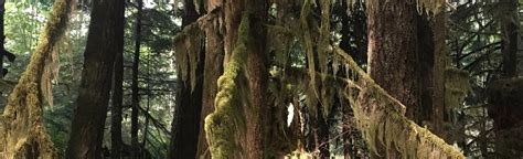 Honeymoon Bay Nature Trail British Columbia Canada 28 Reviews Map