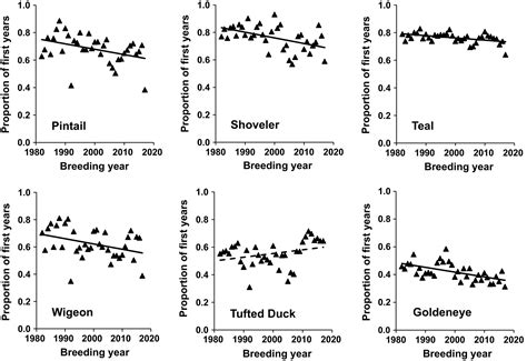 Could Falling Female Sex Ratios Among Firstwinter Northwest European
