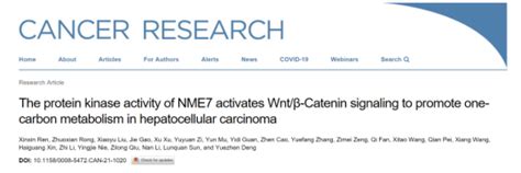 孙仑泉、邓跃臻团队在cancer Research发表原创论文揭示肝癌一碳代谢调控机制 中南大学新闻网门户网站