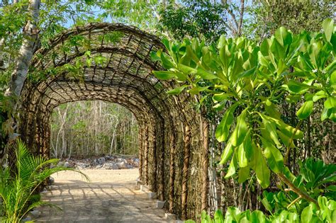 Kuyabeh Comunidad ecológica con hectáreas residenciales en Tulum Top