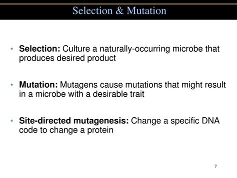 Ppt Biotechnology And Recombinant Dna Powerpoint Presentation Free