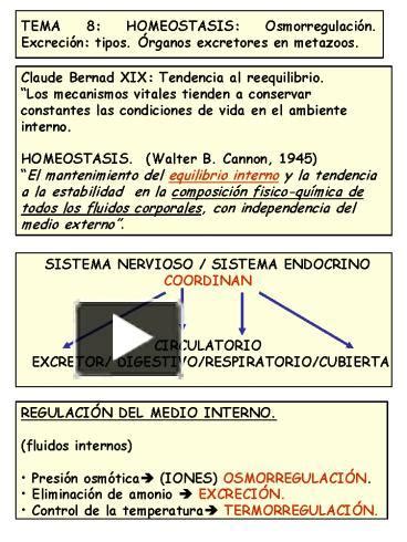 PPT TEMA 8 HOMEOSTASIS Osmorregulacin Excrecin Tipos Rganos