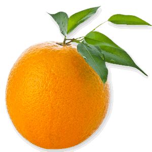 orange png image  transparent hq png  freepngimg