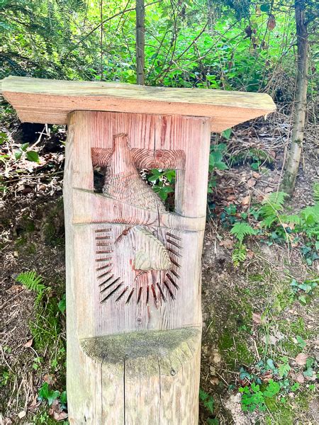 Der kleine Räuber Hotzenplotz Pfad im Schwarzwald