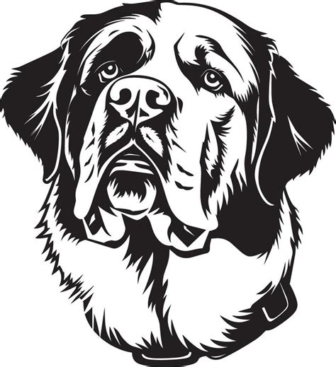 St Bernard Dog Clipart St Bernard Black 46010613 Vector Art At Vecteezy