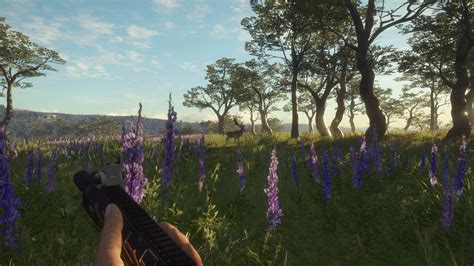 Купить лицензионный ключ theHunter™: Call of the Wild - Modern Rifle ...