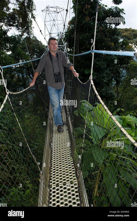 Canopy Walk Rwanda Hi Res Stock Photography And Images Alamy