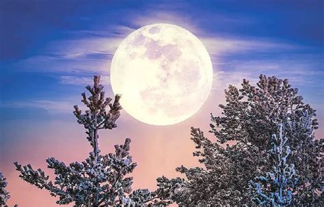 Luna De Nieve De Febrero 2024 El Renacimiento De Los Nuevos Comienzos