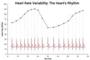 Heart Rate Variability Heartmath Institute