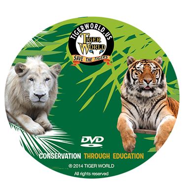 tiger world dvd tiger world