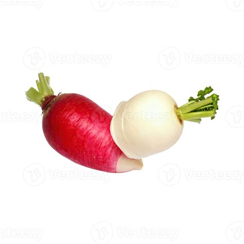 Ai Generated Floating Of Red And White Daikon With A Mild Flavor