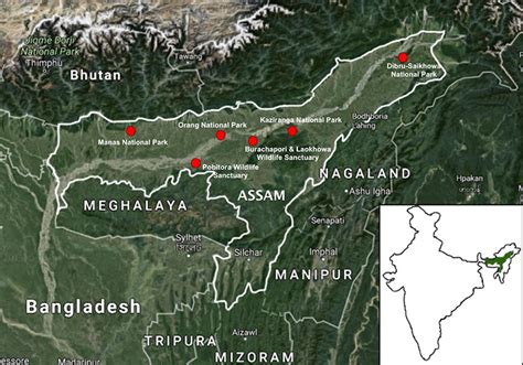 Dehing Patkai And Raimona National Parks Assam