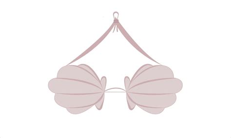 Seashell Bra Bikini Top Elegant Bra Vector Art At Vecteezy