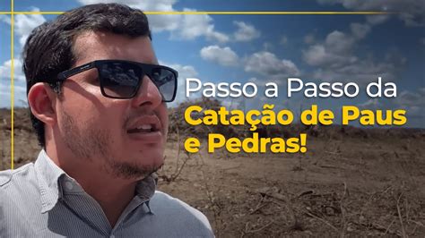 Vai Acabar Em Paus E Pedras - Conhecendo o PROCESSO: CATAÇÃO de PAUS e PEDRAS na Fazenda Boate! - YouTube