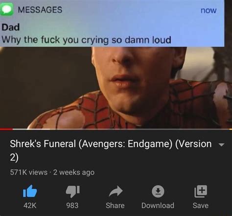 Dad Why The Fuck You Crying So Damn Loud Shrek S Funeral Avengers Endgame Version V Ifunny