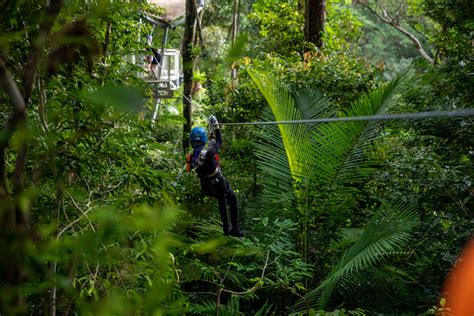 Treetops Ziplining The Daintree Shop