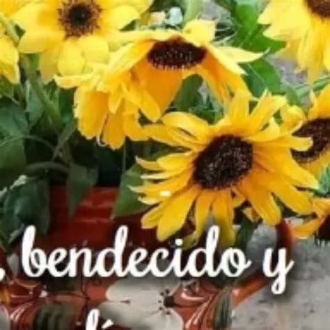 Top Amateur Porn Video Creators Of Homemade Sex Xhamster