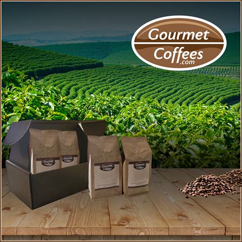 Best Organic Coffees - RYZE Superfoods