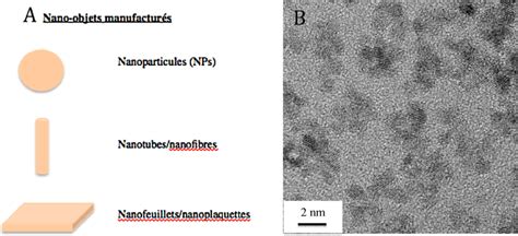 A Repr Sentation Sch Matique Des Diff Rents Types De Nano Objets