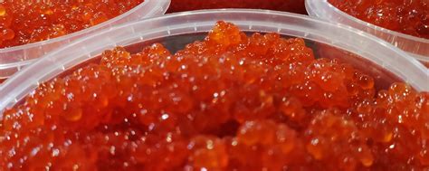 Океан - морские деликатесы (ТаняИкра) | Познакомимся? 2025 | ВКонтакте