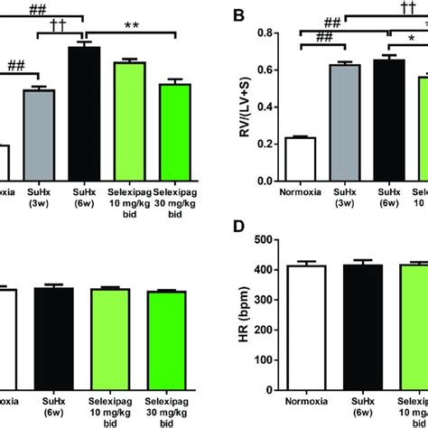 Characteristics Of Ep1 4 And Ip Receptor Subtypes In Humans Rats And