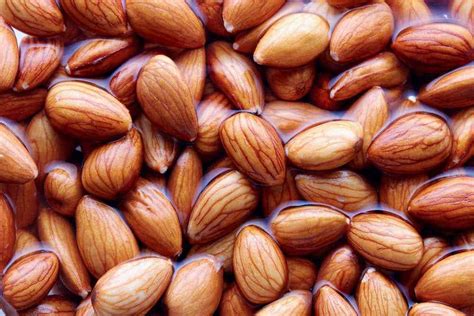 Almonds 101 Health Benefits Nutrition Soaking Sprouting And More