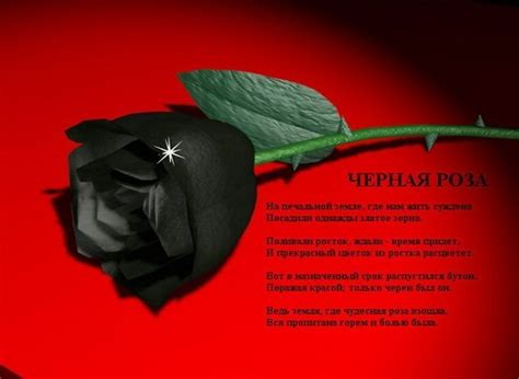 Черная открытка (47 фото) » Рисунки для срисовки и не только