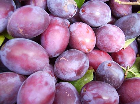 Dusky Orbs of Claret, Milky Mornings and Almond and Plum Tray Bake ...